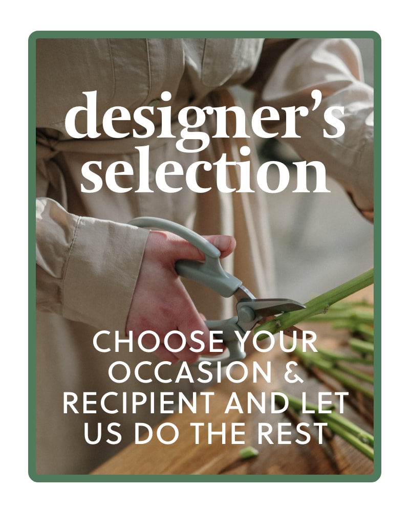 Designer's Choice